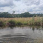 Mare pour accueillir la biodiversité sur la ferme ©S.Dujardin-LPO BFC